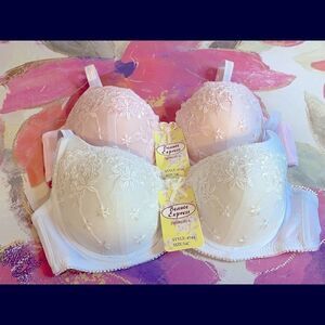 🎀Beaute express intimates sexy push up lace Bras size:34C
